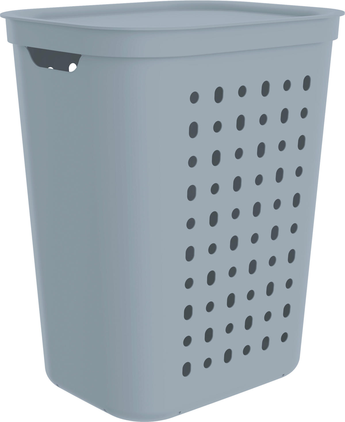 WÄSCHESAMMLER - Pastellblau, KONVENTIONELL, Kunststoff (35,5/53,3/43,2cm) - Rotho