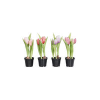 TULPE - Multicolor/Schwarz, LIFESTYLE, Kunststoff (24cm)