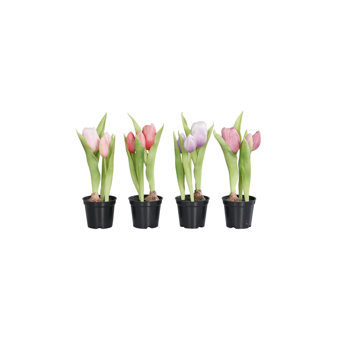 TULPE - Multicolor/Schwarz, LIFESTYLE, Kunststoff (24cm)