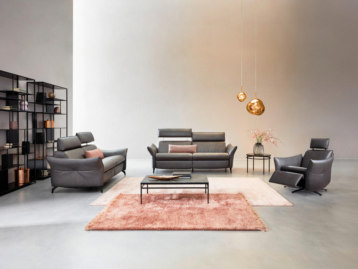 SOFA Echtleder Grau  - Edelstahlfarben/Grau, Design, Leder/Metall (194/94/95cm) - Himolla