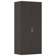DREHTÜRENSCHRANK 101/235/61 cm,  in Graphitfarben, 2-türig  - Edelstahlfarben/Graphitfarben, Basics, Holzwerkstoff/Metall (101/235/61cm) - Novel