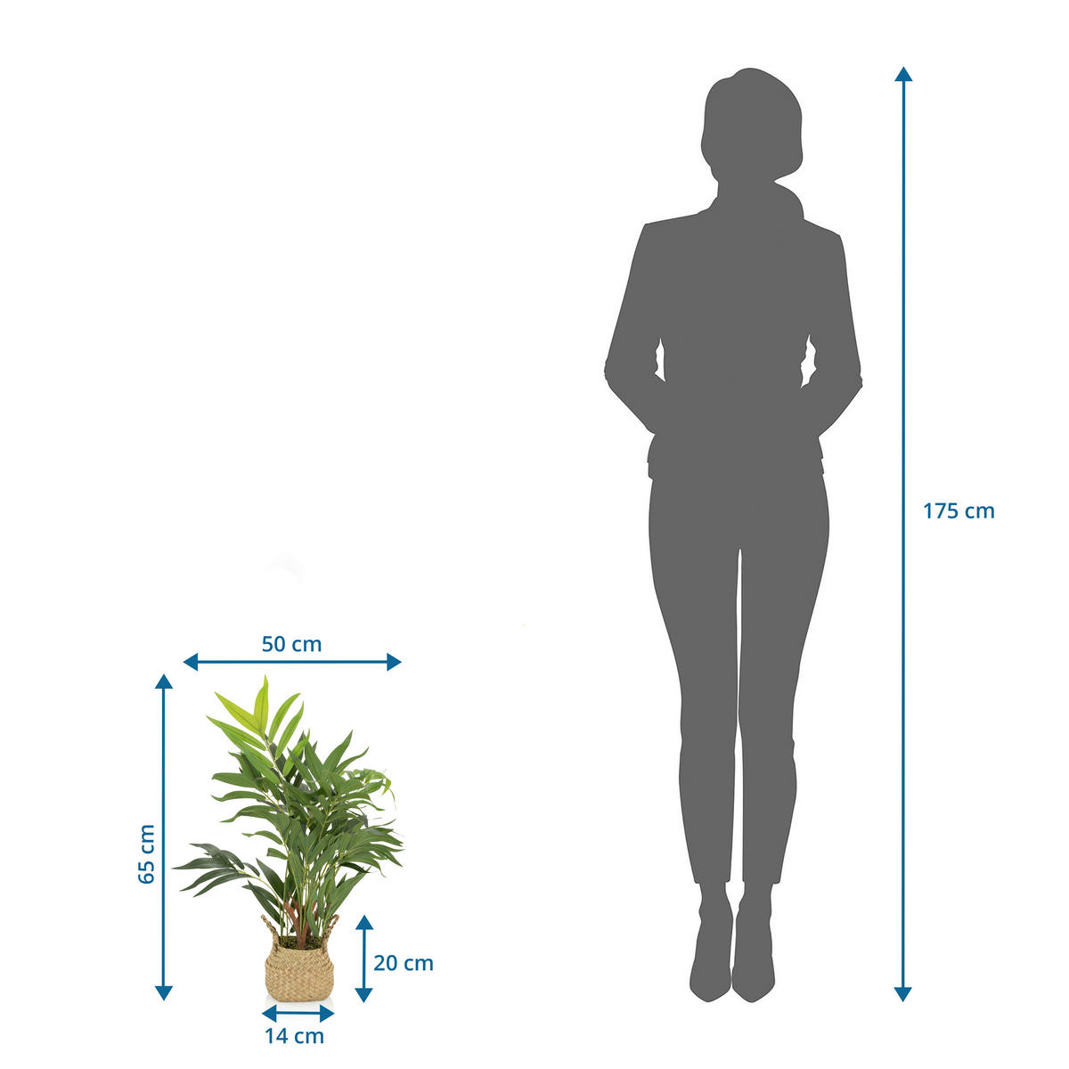 KUNSTPFLANZE Palme  - Hellbraun/Grün, Basics, Kunststoff/Textil (50/65/50cm) - MID.YOU