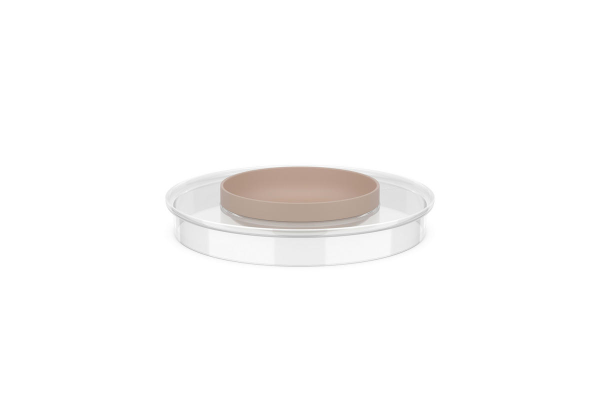OCHRANA PROTI POSTRIEKANIU - priehľadné/krémová, Konventionell, plast (22,3cm) - Mepal