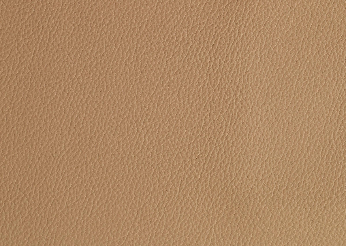RELAXSESSEL in Leder Cappuccino  - Edelstahlfarben/Cappuccino, Konventionell, Leder/Metall (78/110/81cm) - Cantus