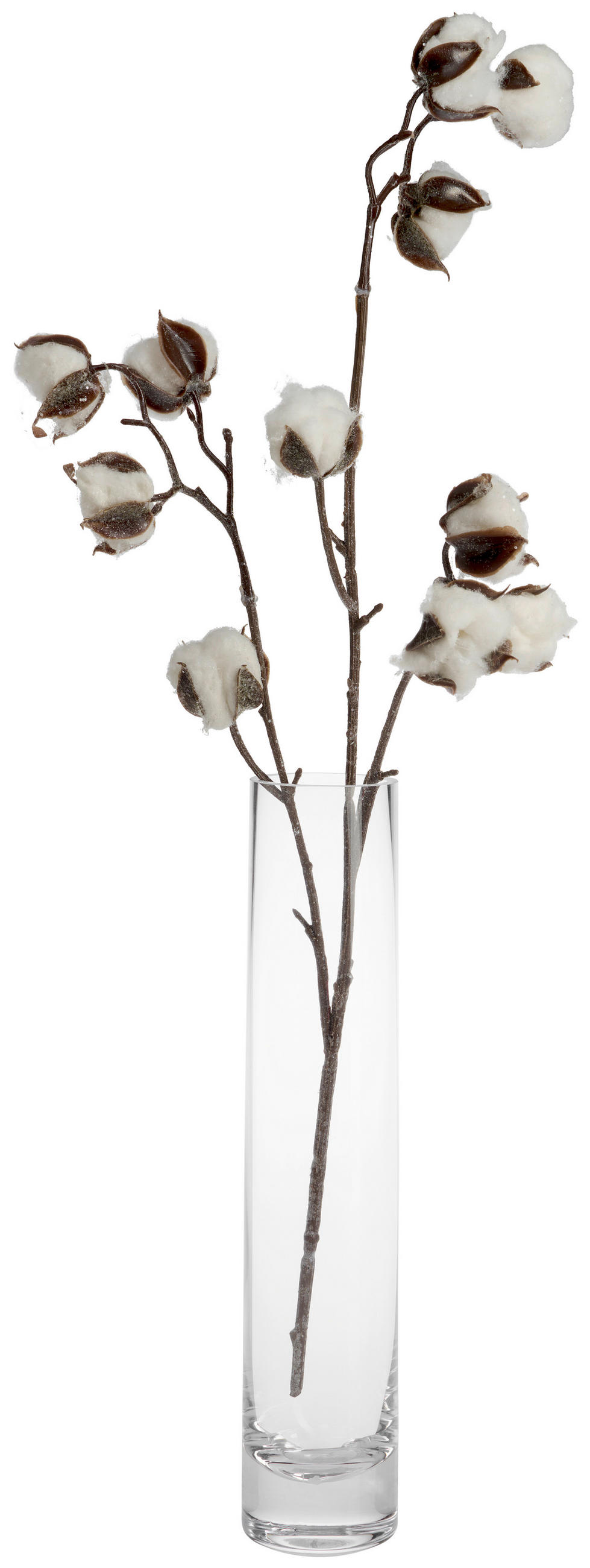 VÁZA, sklo, 30 cm - průhledné, Basics, sklo (6,3/30/6,3cm) - Leonardo