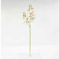 MŰNÖVÉNY - fehér/zöld, Basics, műanyag