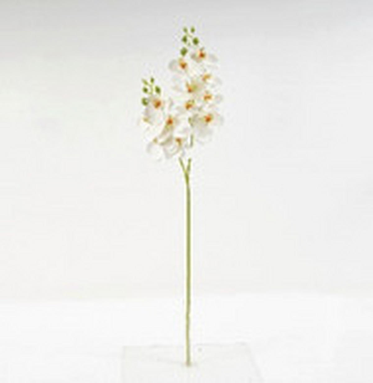 MŰNÖVÉNY - fehér/zöld, Basics, műanyag