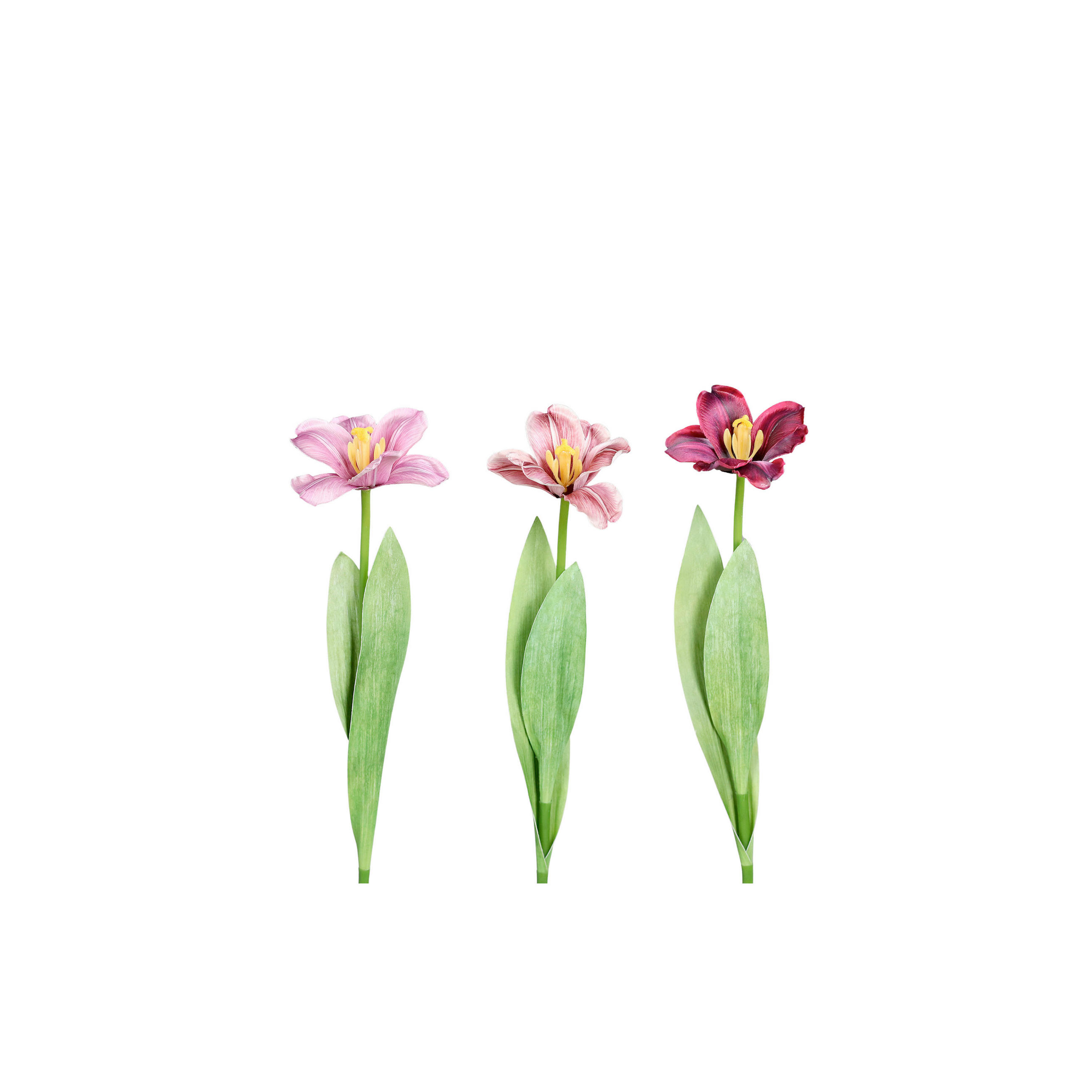 TULPE - Pink/Hellgrün, LIFESTYLE, Kunststoff/Textil (49cm)