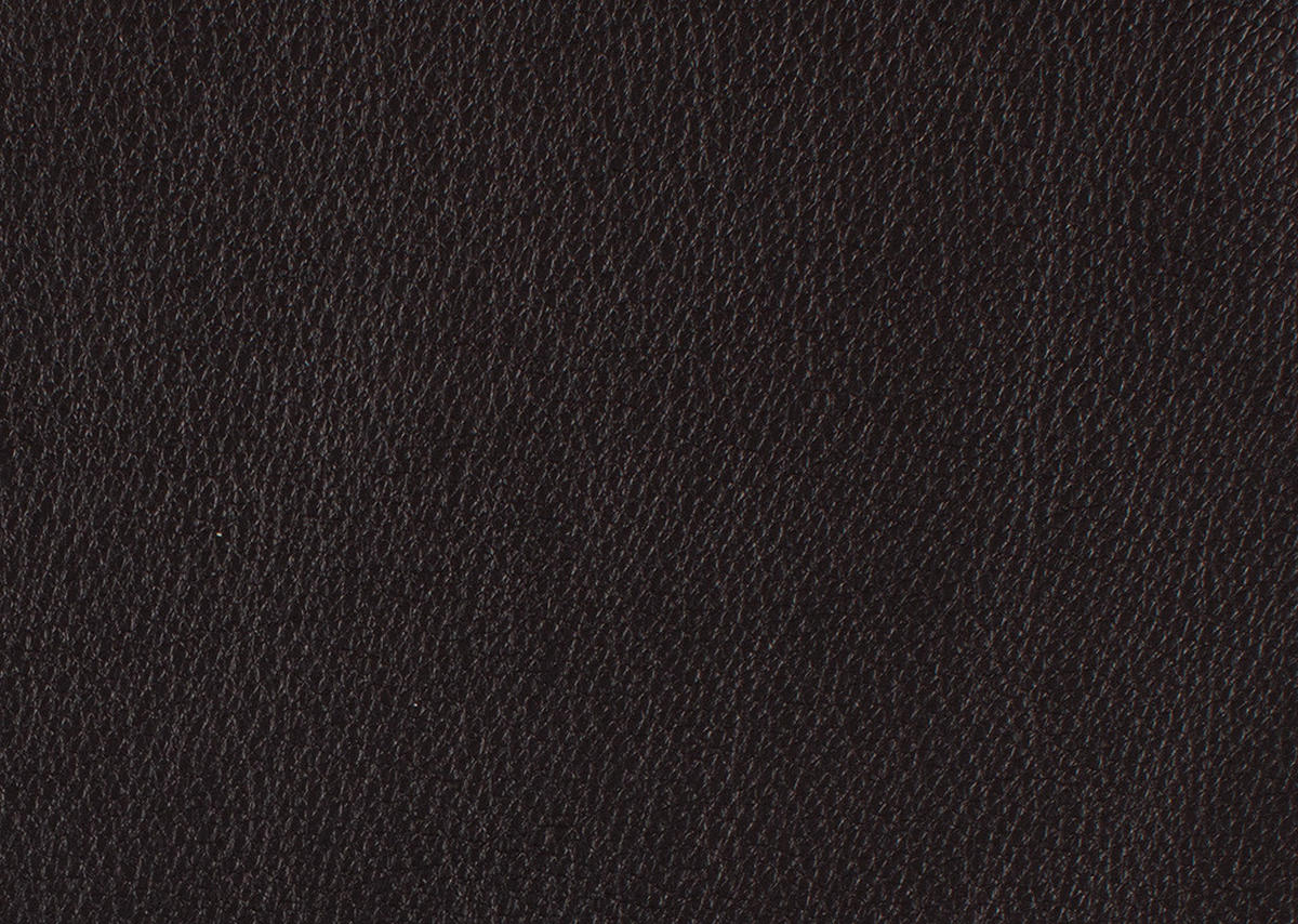 RÉCAMIERE in Echtleder Dunkelbraun  - Chromfarben/Dunkelbraun, Design, Leder/Metall (209/85-109/95-16cm) - Dieter Knoll