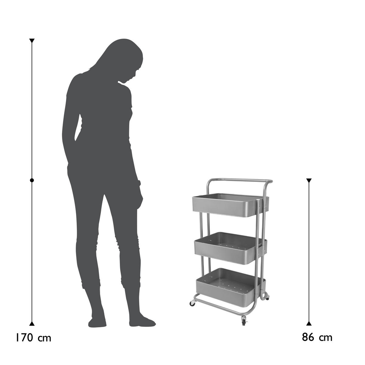 SERVIERWAGEN in Silberfarben  - Silberfarben/Silbereichenfarben, Basics, Metall (43/32/86cm) - Echtwerk