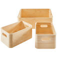 AUFBEWAHRUNGSBOXEN-SET - Naturfarben, Trend, Holz (36/25/11,5cm) - Ambia Home