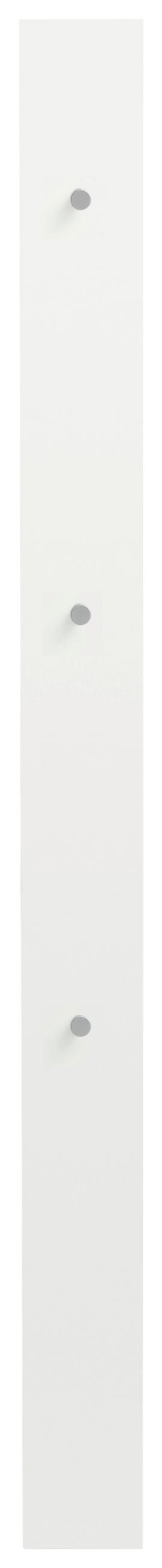Dieter Knoll Garderobenpaneel Silber, Weiß 14x170x5 cm