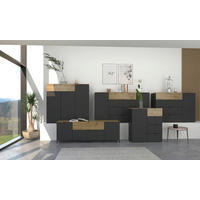 TV-SZEKRÉNY 181/54/41 cm  - grafitszürke/fekete, Modern, faalapú anyag/fém (181/54/41cm) - Voleo