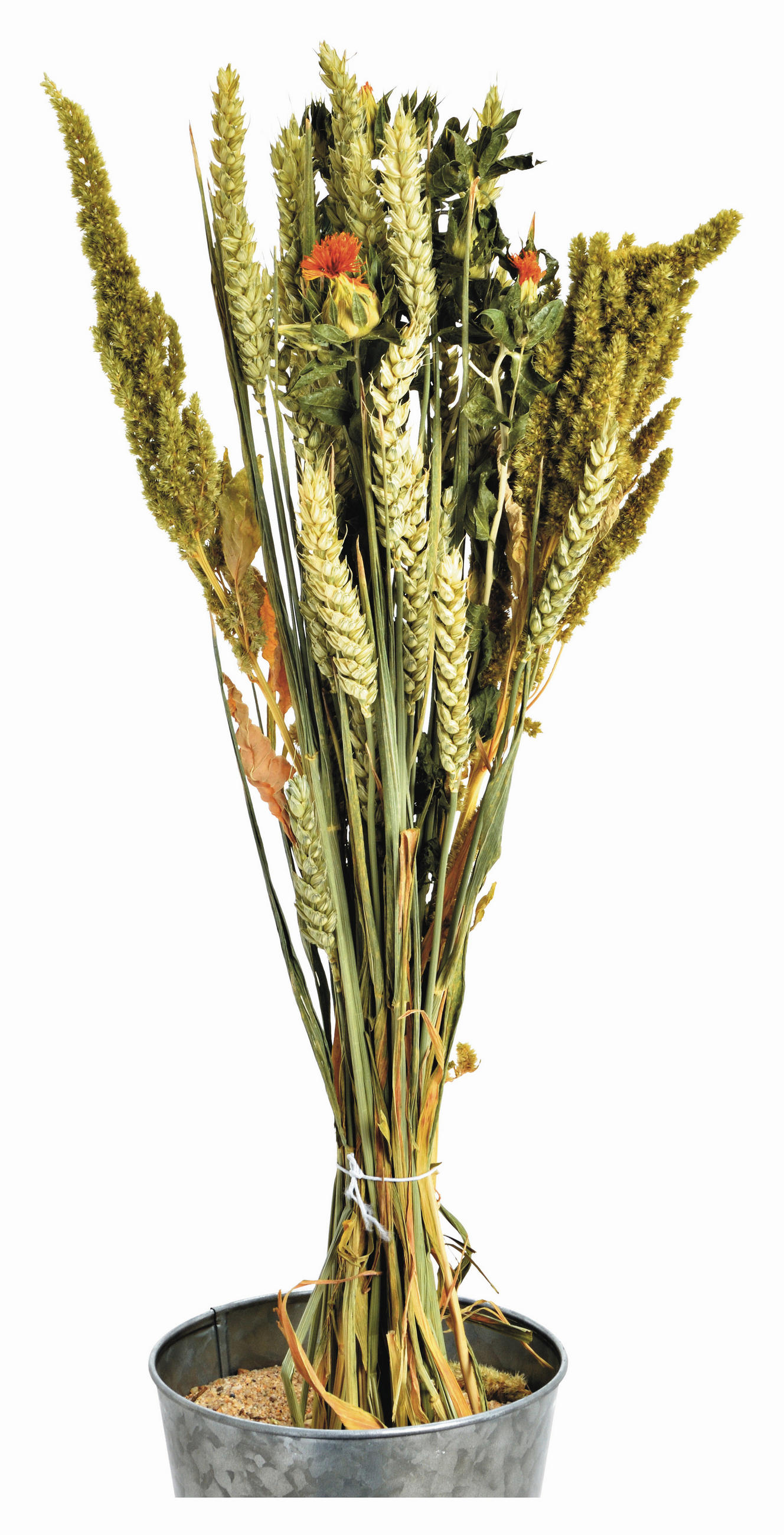 XXXLutz TROCKENBLUMENSTRAUß Grün, Orange, Beige 60 cm
