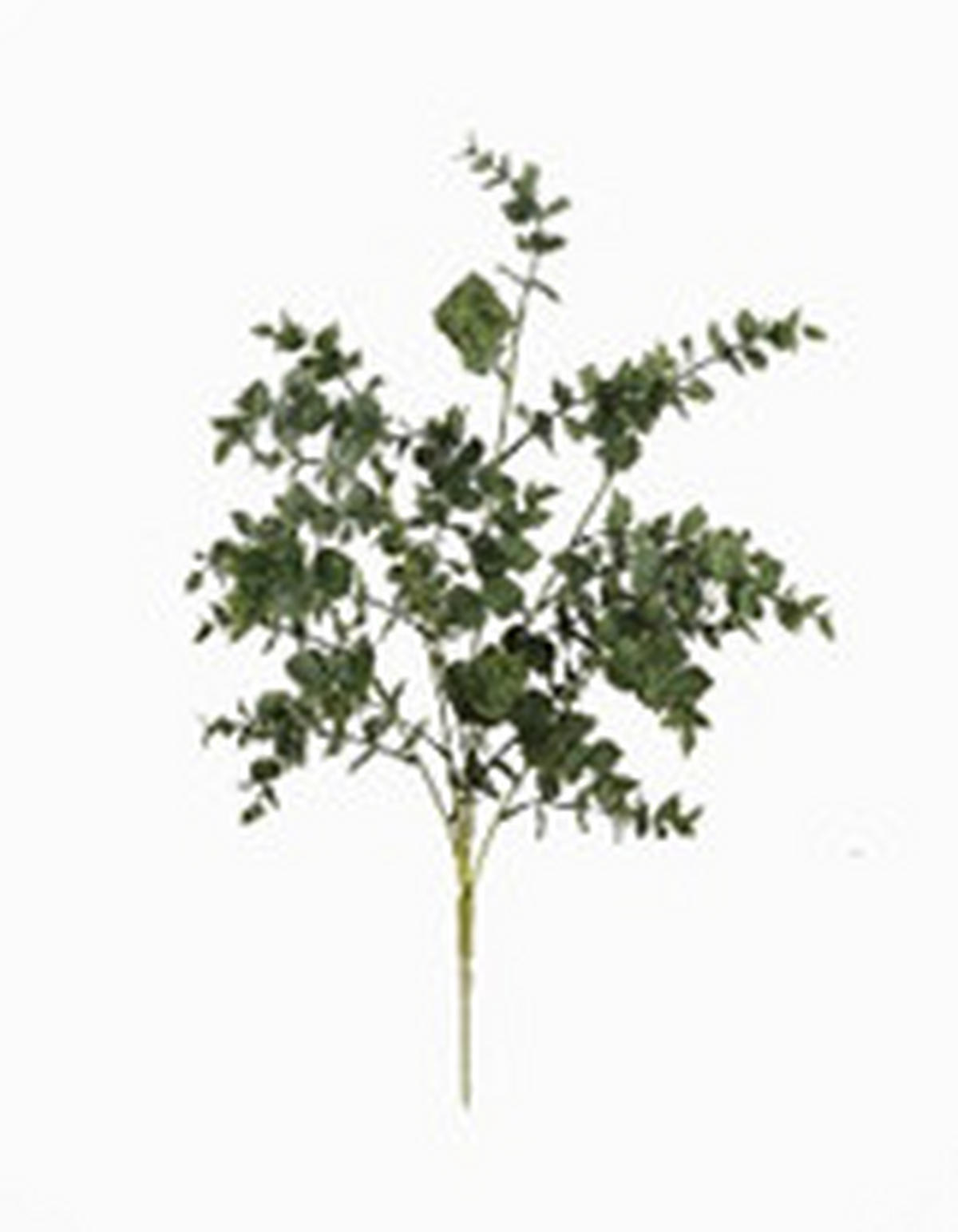 MŰNÖVÉNY - zöld, Basics, műanyag