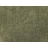 FUßMATTE 75/100 cm Sage Green  - Olivgrün, Design, Kunststoff/Textil (75/100cm) - wash+dry