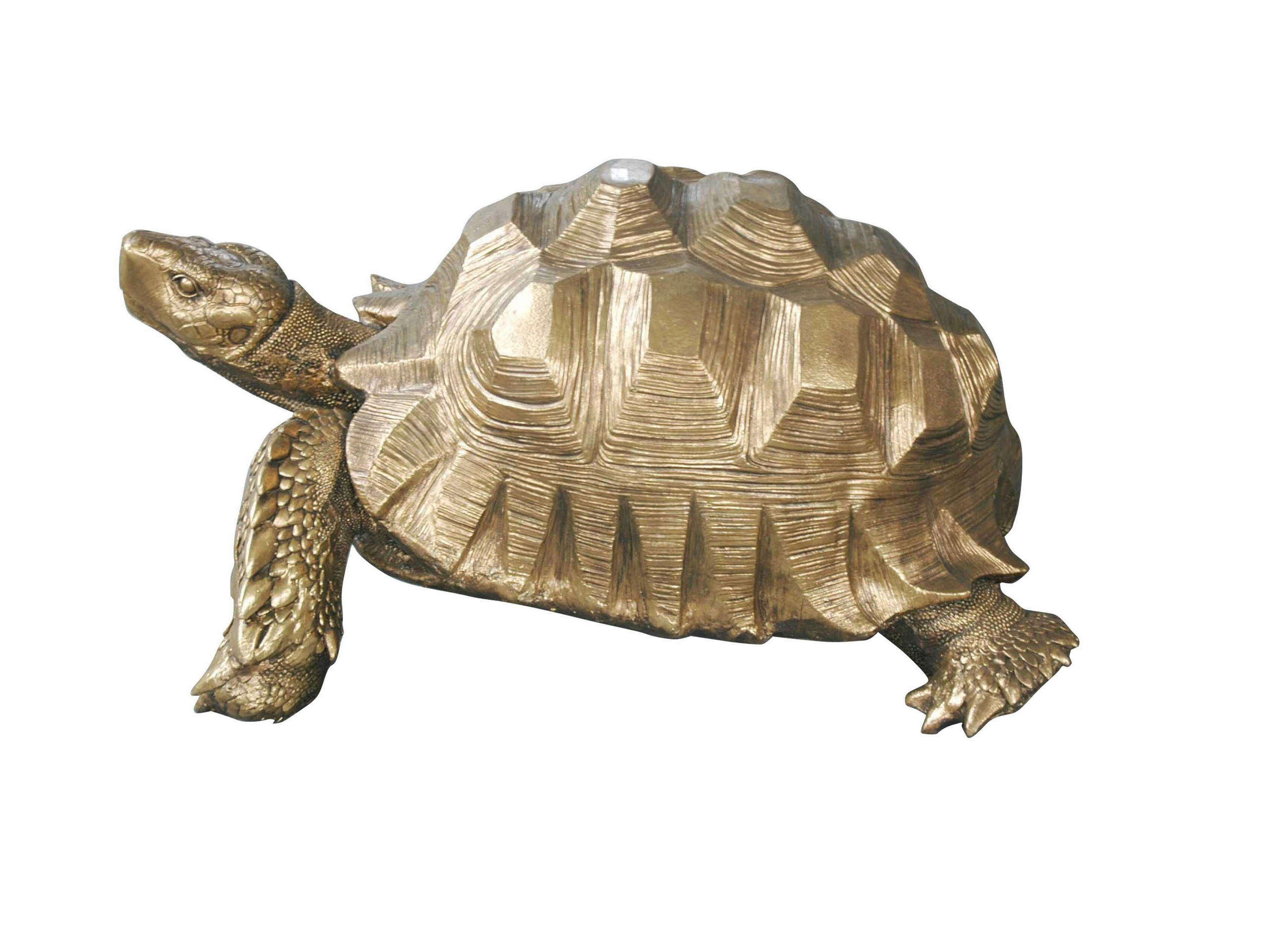 DEKOSCHILDKRÖTE - Goldfarben, Basics, Kunststoff (95/77/43cm)