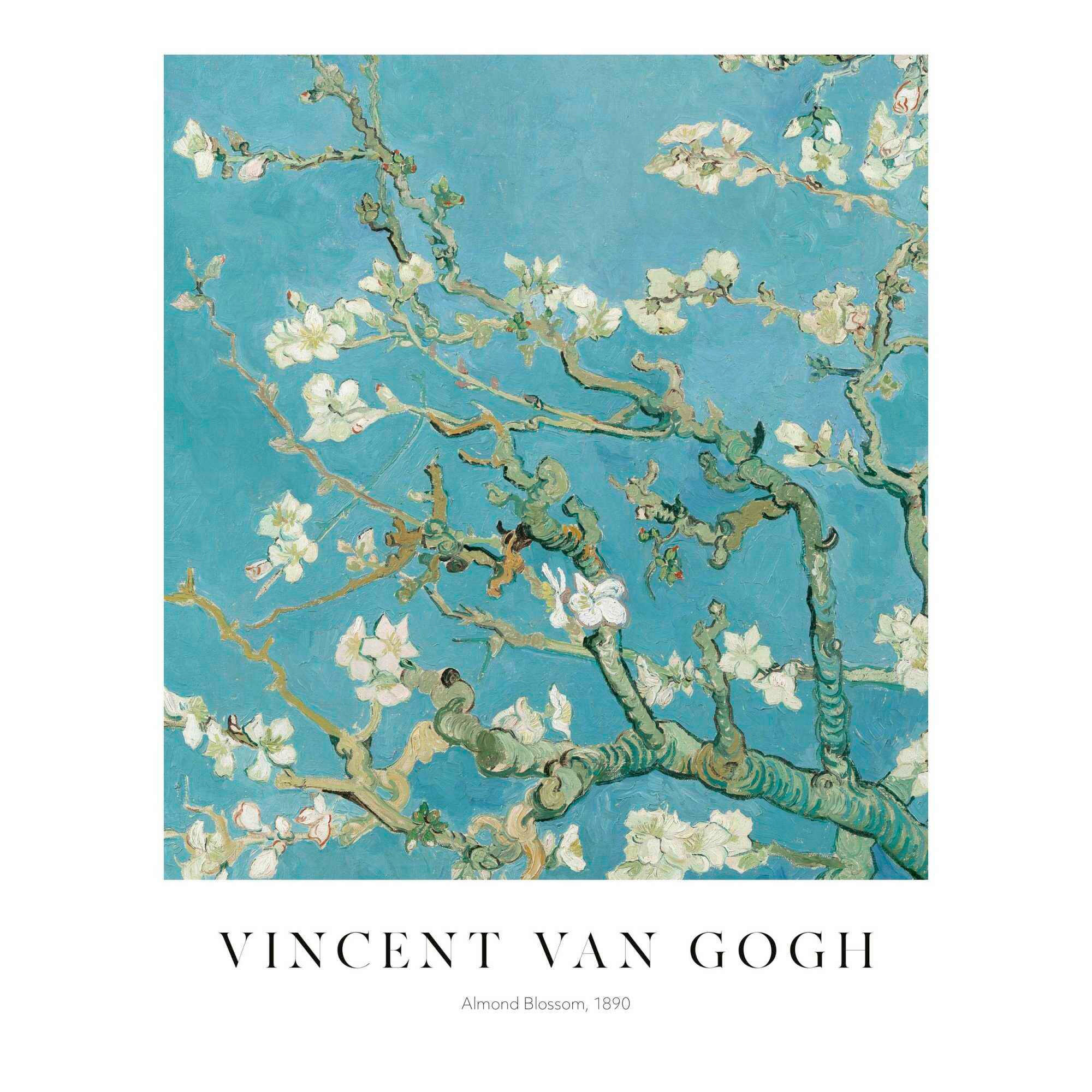 POSTER 40/50 cm  - Multicolor, Natur, Papier (40/50cm) - Reinders!