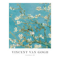 POSTER 40/50 cm  - Multicolor, Natur, Papier (40/50cm) - Reinders!