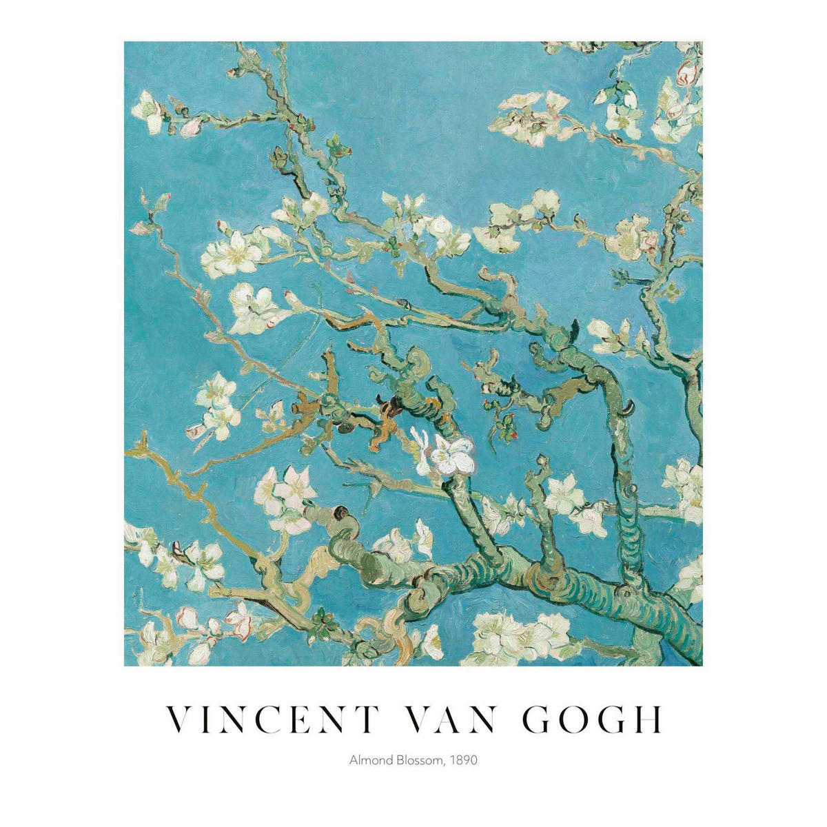 POSTER 40/50 cm  - Multicolor, Natur, Papier (40/50cm) - Reinders!