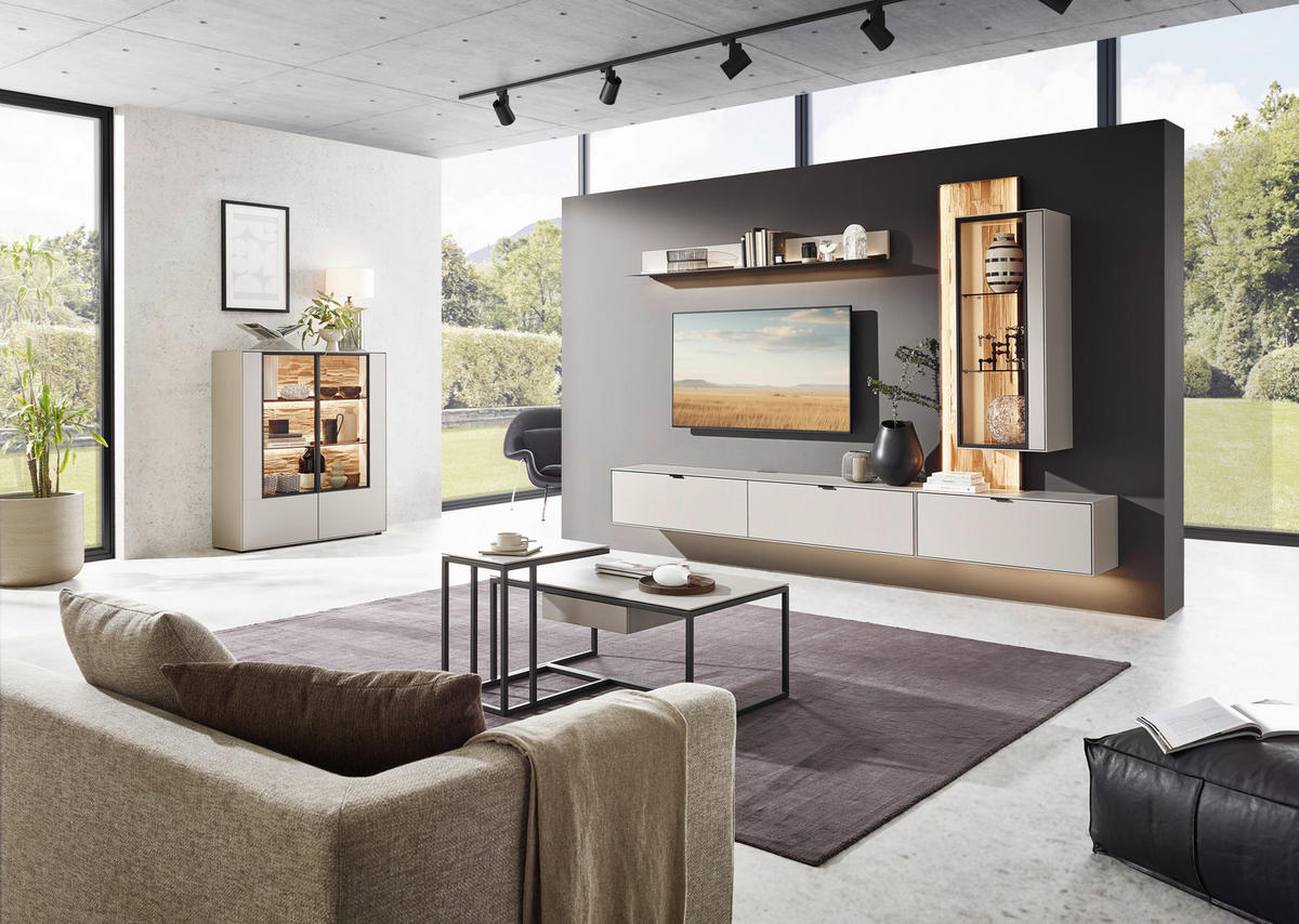 WOHNWAND  in Grau, Wildeiche 303,8/220,3/37,1 cm  - Wildeiche/Schwarz, Design, Glas/Holz (303,8/220,3/37,1cm) - Dieter Knoll