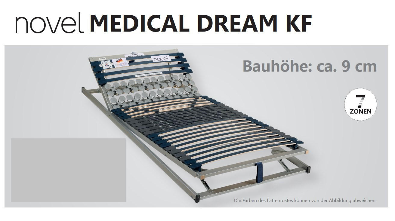 LATTENROST 90/210 cm Kopfteil, Fußteil verstellbar, Birke, Buche  - Blau/Wengefarben, Basics, Holz/Kunststoff (90/210cm) - Novel