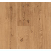 VINYLBODEN Vinyl Basic 5.3  per  m² - Eichefarben, Basics, Kunststoff (120.9/22.5/0.53cm) - Parador