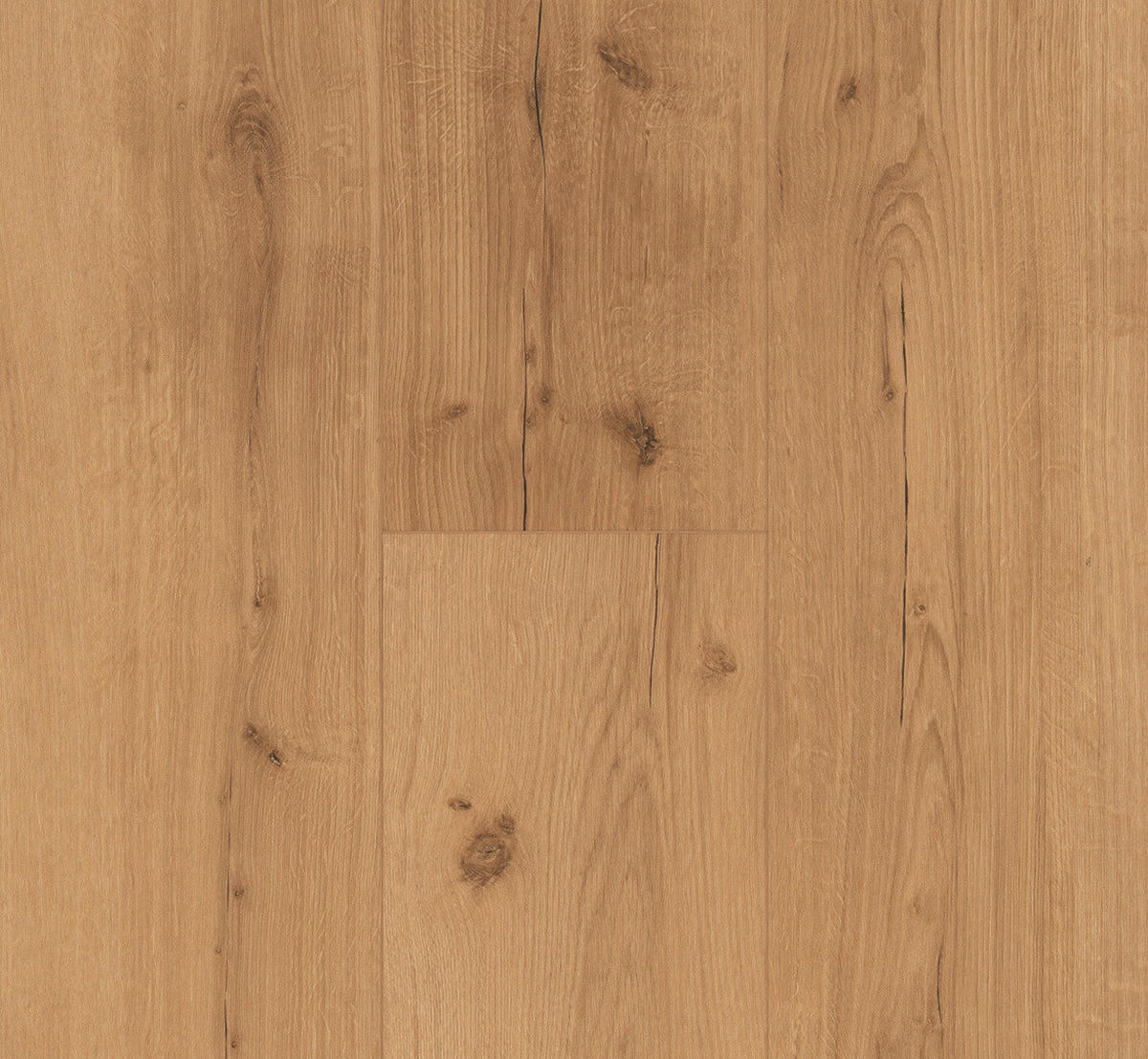 VINYLBODEN Vinyl Basic 5.3  per  m² - Eichefarben, Basics, Kunststoff (120.9/22.5/0.53cm) - Parador