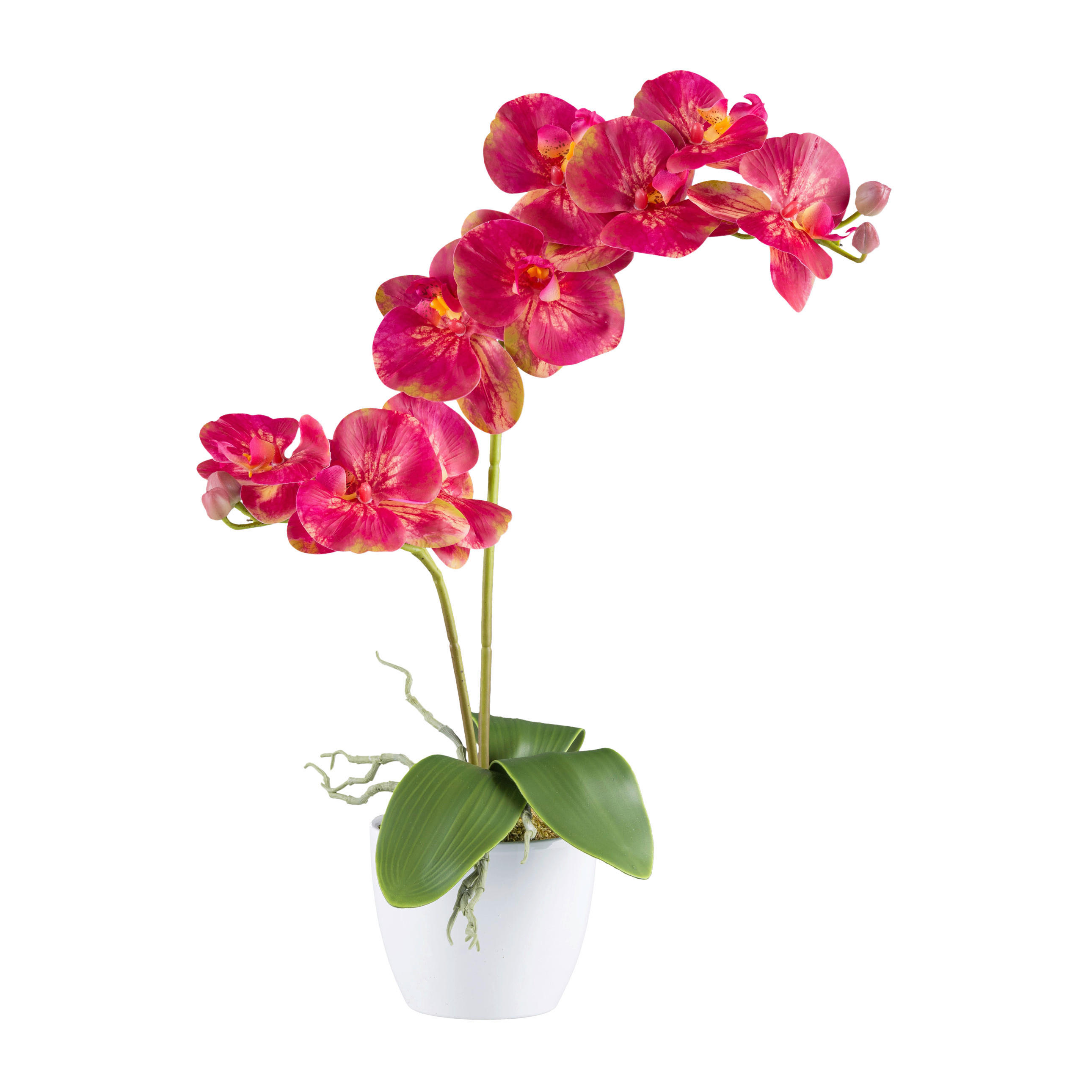 KUNSTPFLANZE Orchidee 57 cm  - Pink/Gelb, Design, Keramik/Kunststoff (57cm) - P & B