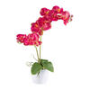 KUNSTPFLANZE Orchidee 57 cm  - Pink/Gelb, Design, Keramik/Kunststoff (57cm) - P & B