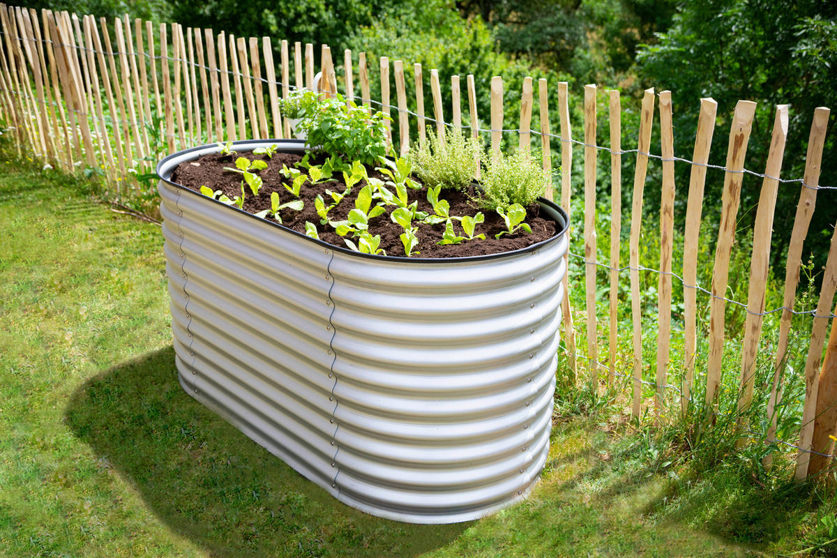 HOCHBEET 160/82/80 cm  - Silberfarben, Basics, Metall (160/82/80cm)