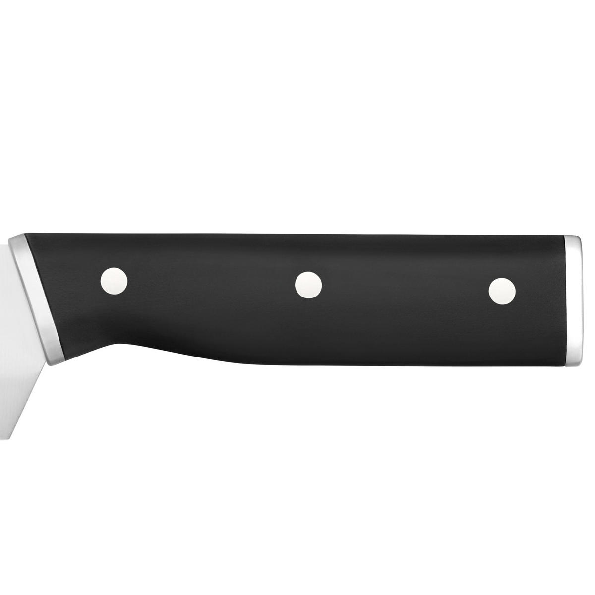 FLEISCHMESSER SEQUENCE 20 cm  - Basics, Kunststoff/Metall (20cm) - WMF