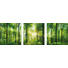 GLASBILD - Multicolor, KONVENTIONELL, Glas (90/30/1,7cm) - EUROGRAPHICS