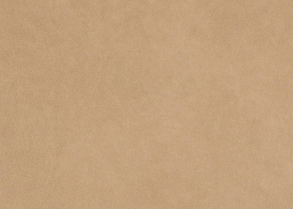 ECKSOFA  Echtleder Honig  - Schwarz/Honig, Design, Leder/Metall (169/307cm) - Beldomo Premium