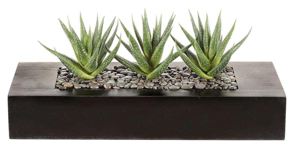KUNSTPFLANZE Agave 16 cm  - Braun/Grün, Design, Holz/Kunststoff (16cm) - P & B