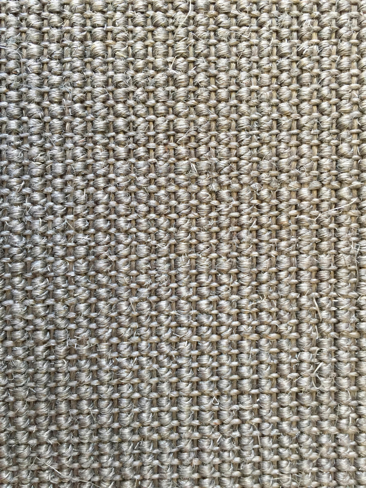TEPIH  siva, bež     - siva/bež, Osnovno, tekstil/plastika (165/235cm)