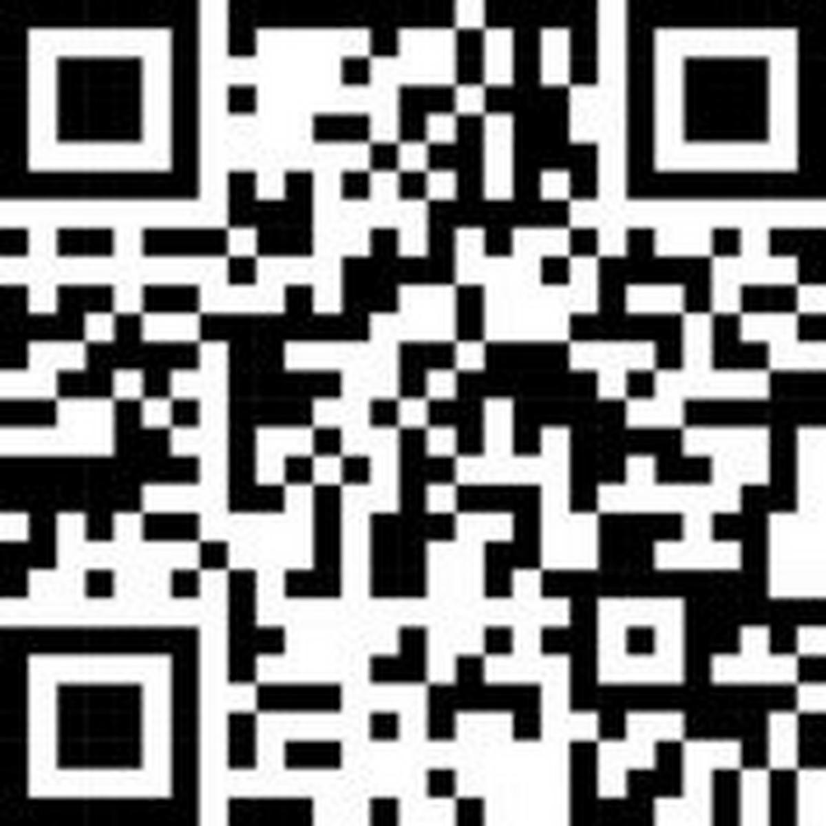 DUSCHKOPF   - Schwarz, Basics, Kunststoff (13cm) - Wenko