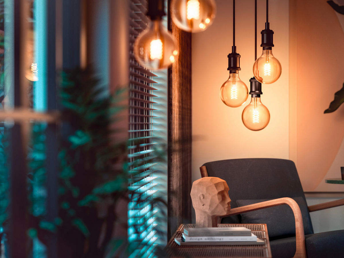 AMPOULE LED À FILAMENT   E27 7 W  - noir, Basics, matière synthétique (9,5/15cm) - Philips HUE