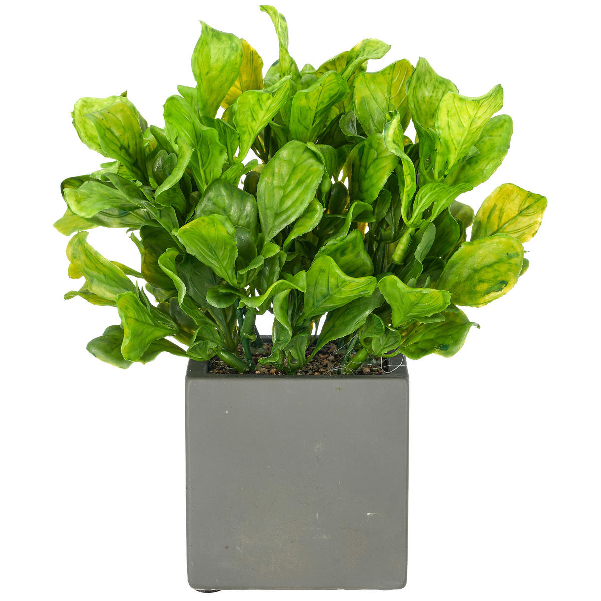 KUNSTPFLANZE Dekoblatt 18 cm  - Grau/Grün, Basics, Kunststoff/Stein (18cm)