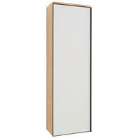 GARDEROBENSCHRANK  in 54/170/31 cm  - Weiss/Eichefarben, Design, Glas/Holz (54/170/31cm) - Dieter Knoll