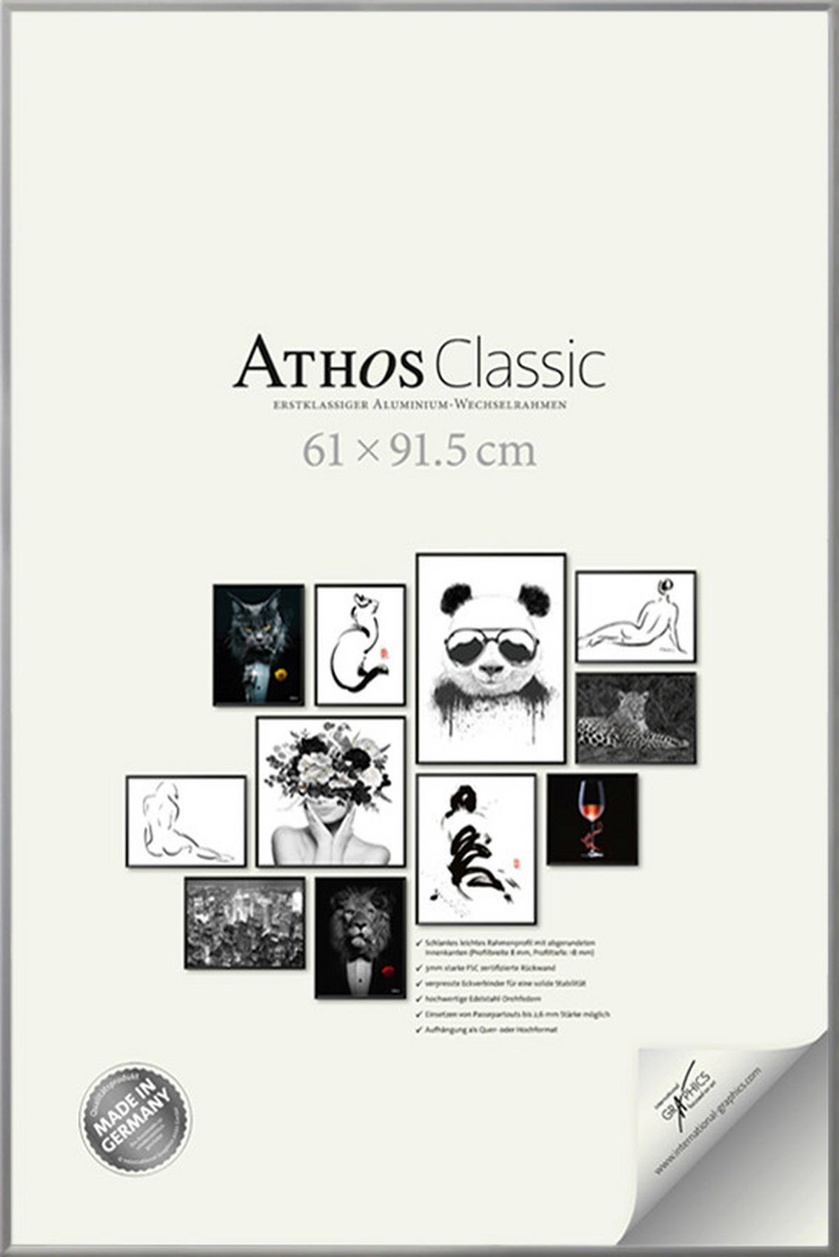 BILDERRAHMEN - Silberfarben, Basics, Papier/Holzwerkstoff (61/91,5/1,8cm)