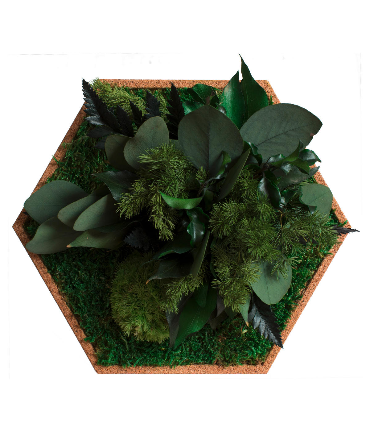 MOOSPANEEL Stylegreen  - Hellbraun/Grün, Basics, Naturmaterialien/Holz (19/22cm)