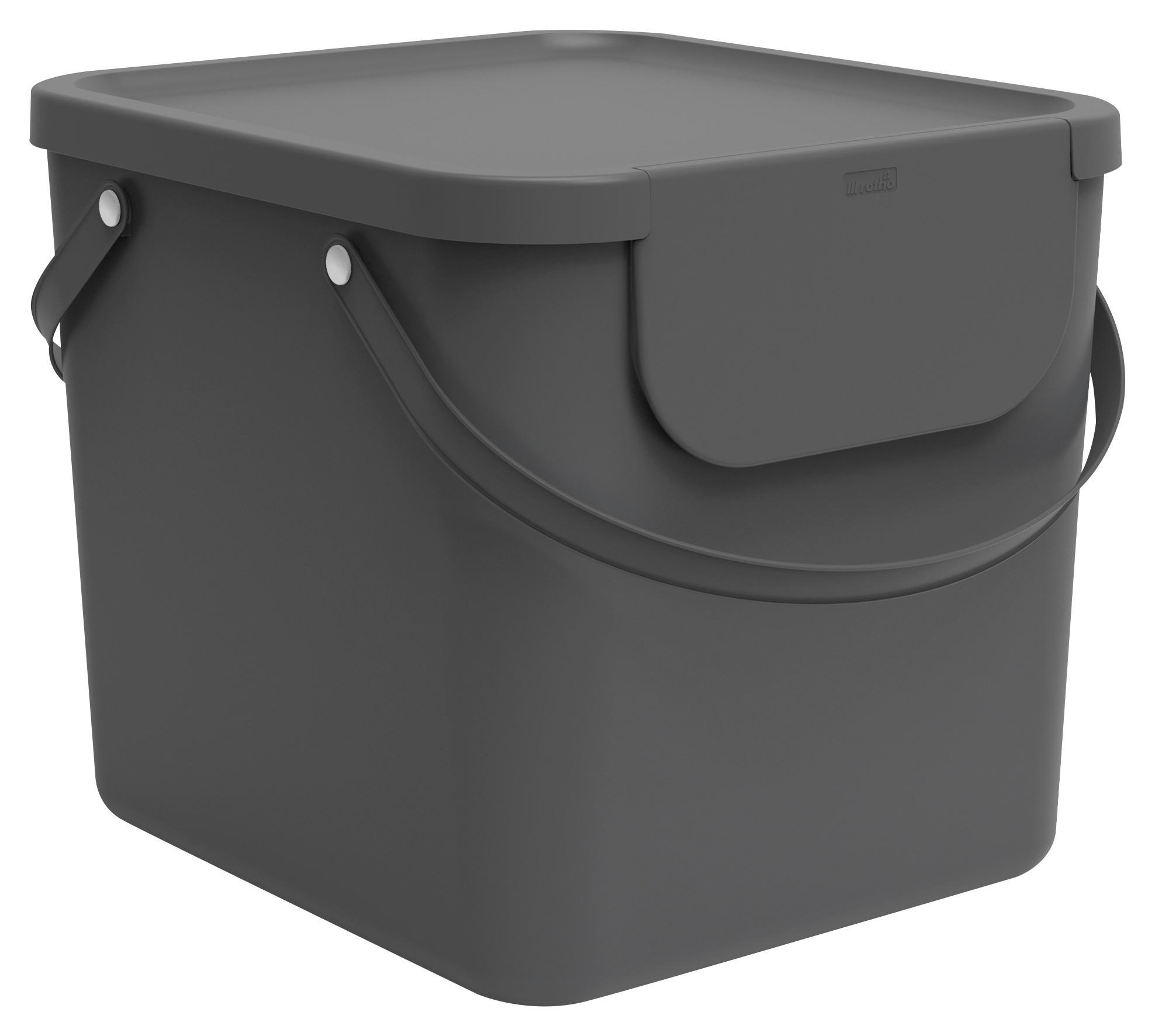 ABFALLSAMMLER ALBULA 40 L  - Anthrazit, Basics, Kunststoff (40/35,5/34cm) - Rotho