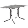 GARTENKLAPPTISCH 120/80/73 cm Metall, Kunststoff rechteckig  - Silberfarben/Grau, Basics, Kunststoff/Metall (120/80/73cm) - Sieger