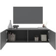 LOWBOARD Newniq in 120/36,7/45 cm - Anthrazit, Design, Holzwerkstoff (120/36,7/45cm) - Hom`in