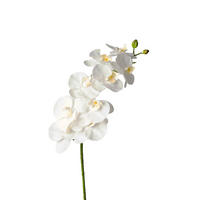 ORCHIDEE  - Weiß/Grün, Basics, Kunststoff (98cm)