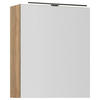 SPIEGELSCHRANK 60/72/21 cm  - Eichefarben/Alufarben, MODERN, Glas/Holzwerkstoff (60/72/21cm) - Nobilia