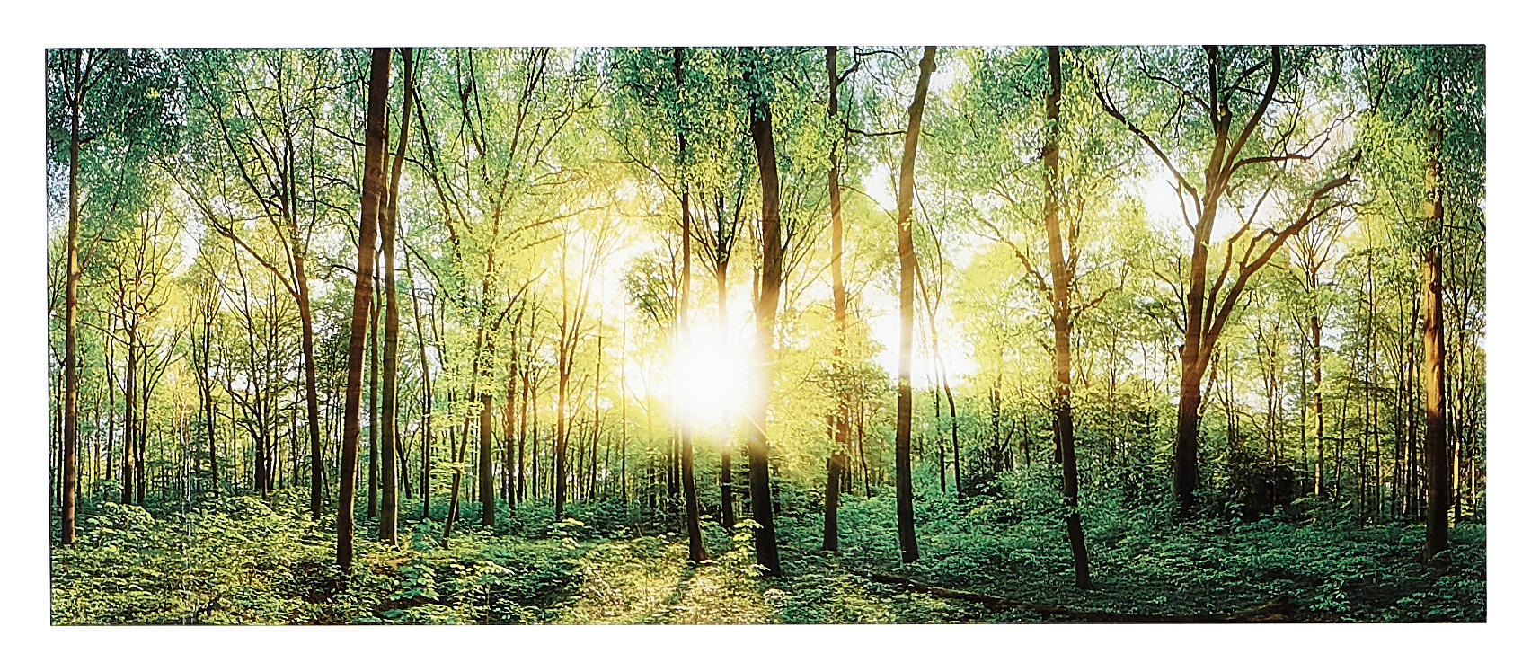 GLASBILD Landschaft & Natur 125/50 cm  - Multicolor, Natur, Glas (125/50cm) - Euroart