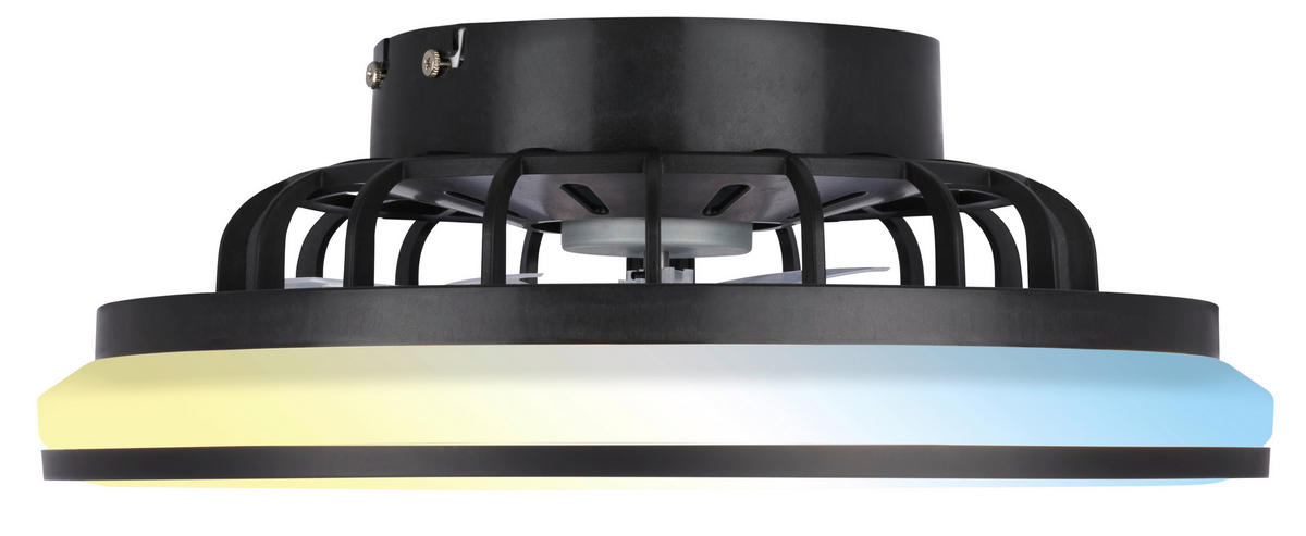 DECKENVENTILATOR 38/14 cm   - Schwarz/Weiß, Design, Kunststoff (38/14cm)