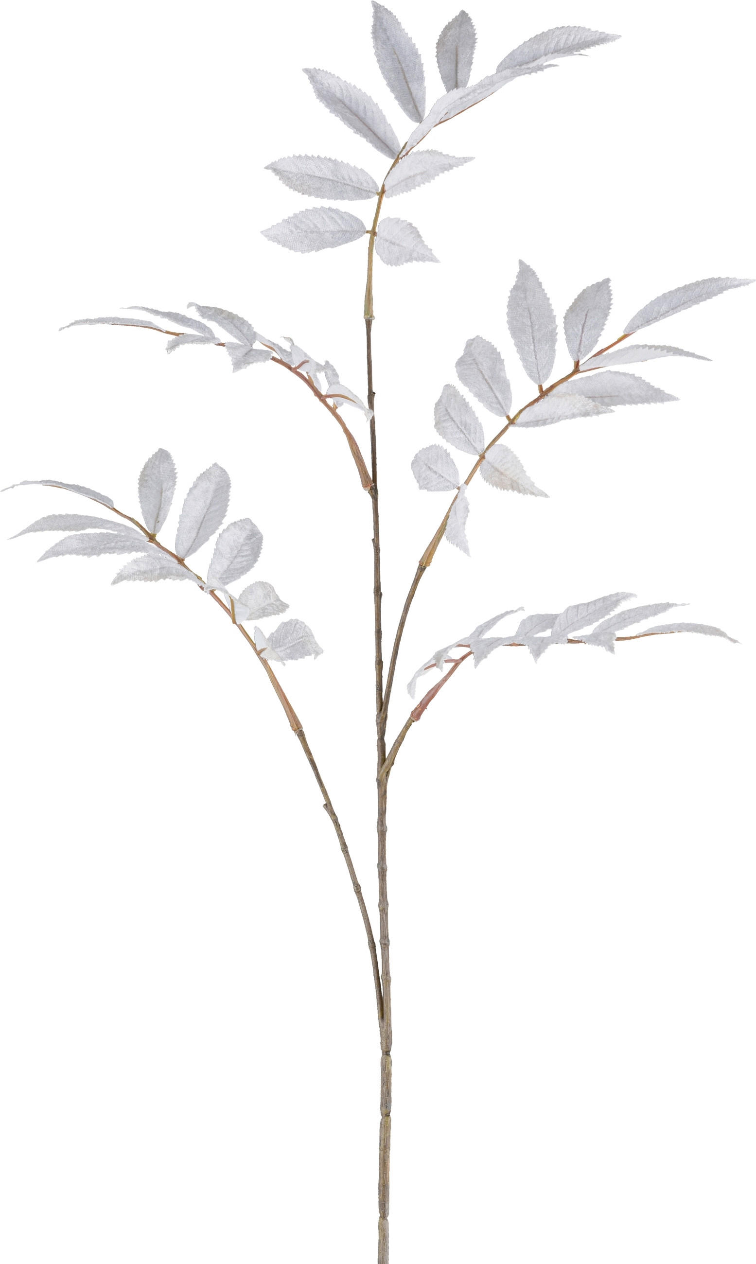 Dekozweig Sorbuszweig